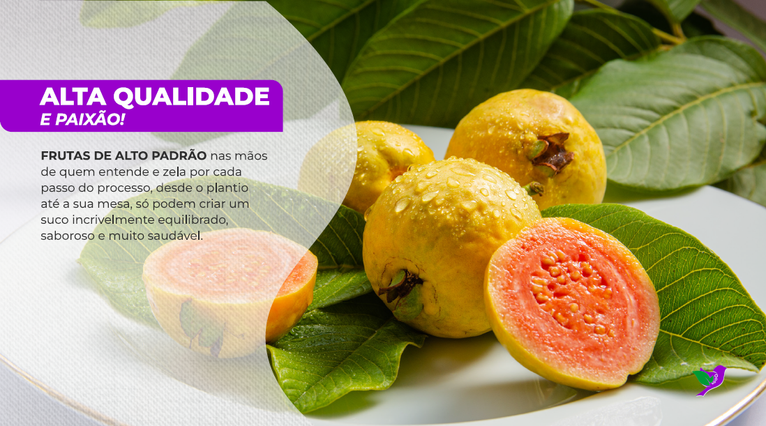 home_nortepolpas_goiaba