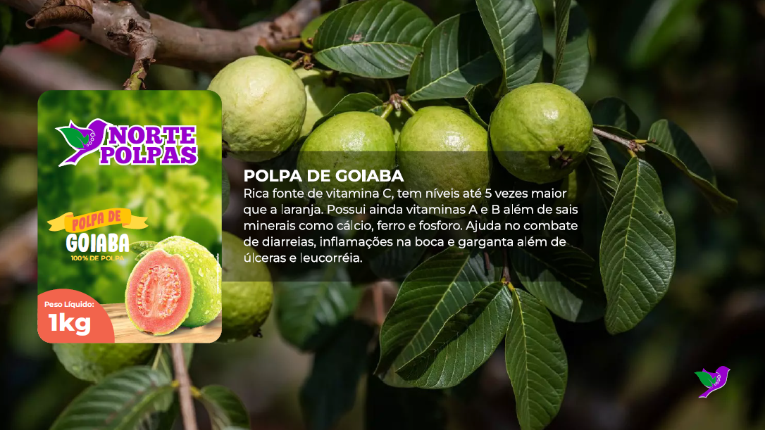 produto_goiaba2_nortepolpas